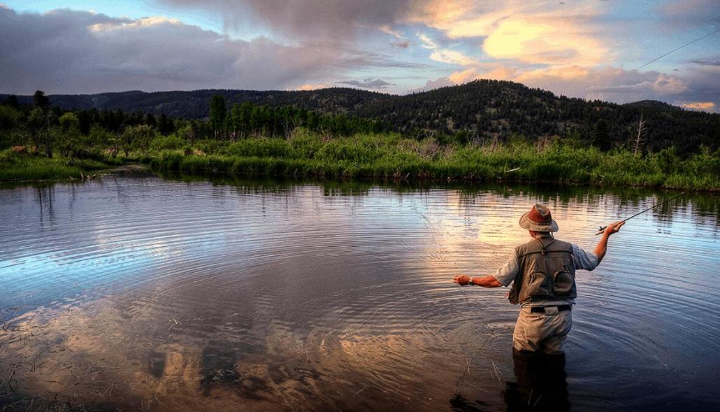 Lily Mountain Lodge - Amazing Mountains Views, Private Hot Tub, Great Location Estes Park Eksteriør billede